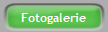 Fotogalerie