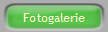 Fotogalerie